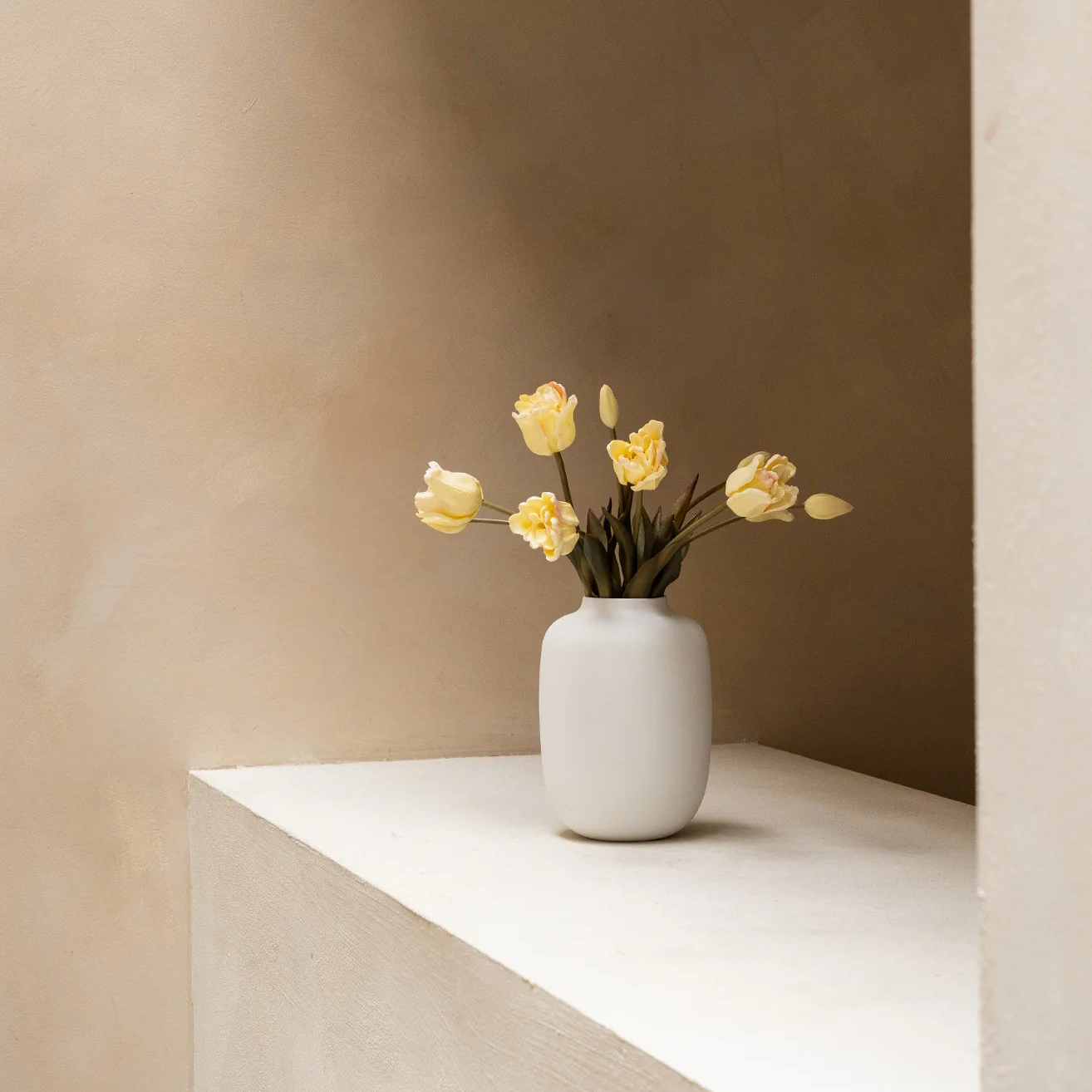Parrot Tulips - Soft White