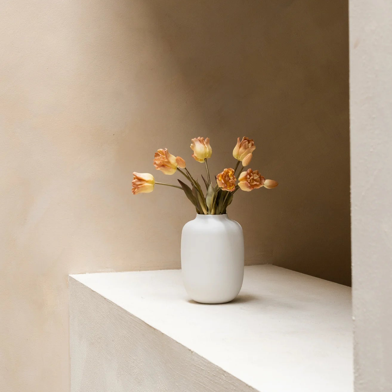 Parrot Tulips - Coffee