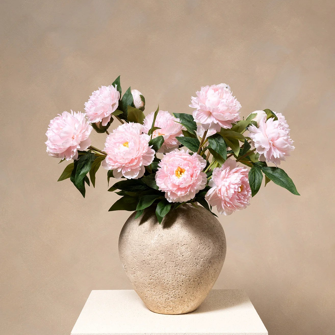 Peonies - Pink