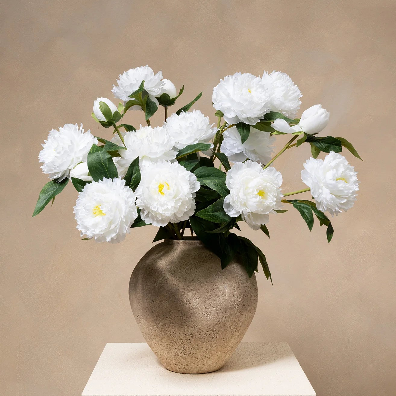 Peonies - Snow White