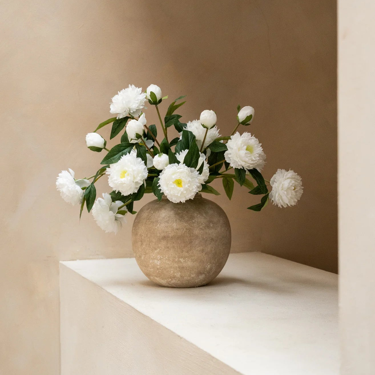 Peonies - Snow White
